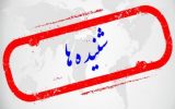 احتمالِ انتصابِ مدیرِ بوشهری به عنوان استاندار خوزستان