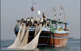 قیمت هایِ نجومیِ ماهی و ثروت اندوزی با سرمایه های مردمِ بوشهر