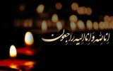 پیام تسلیت استاندار بوشهر در پی درگذشت خبرنگار پیشکسوت علی پیرمرادی