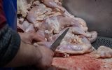 مرغ ۹۱ هزار تومانی در بوشهر