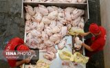 اخلالگران بازار مرغ در فارس به دادگاه ارجاع شدند