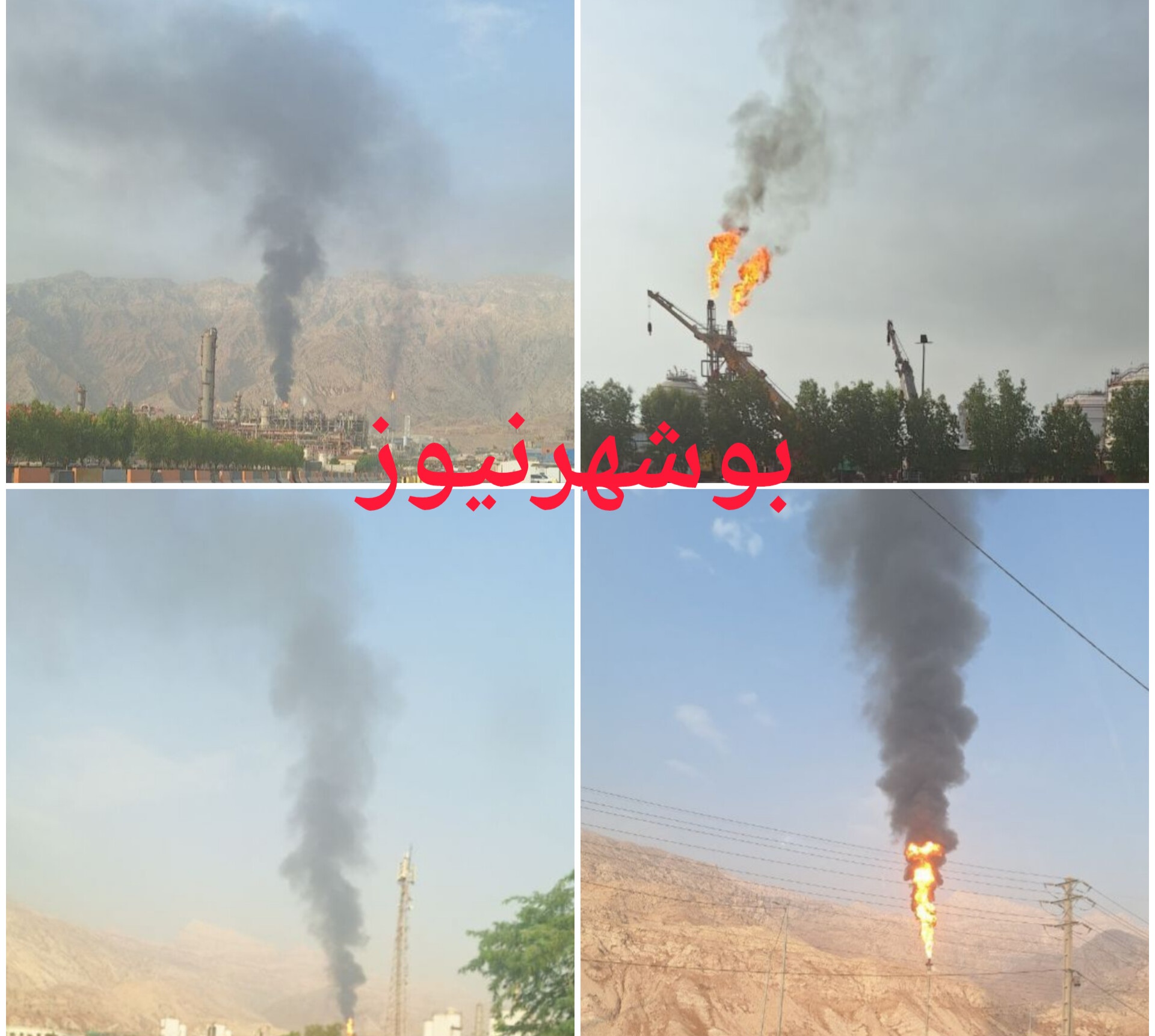 لزومِ برکناری، استعفا و برخورد قانونی با مسببان فاجعه یکشنبه در عسلویه
