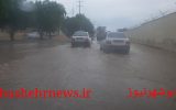 بارندگی شدید و آبگرفتگی معابر در بوشهر+عکس