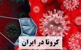 تعداد بیماران کرونایی در بوشهر به ۸ نفر رسید