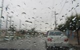 گناوه رکورد دار بارندگی در استان بوشهر/هوا سردتر می شود