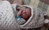 روندِ نزولیِ تعداد تولدها در استان بوشهر