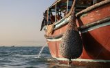 توقیف شناورهای بی هویت صیدکننده میگو در بوشهر
