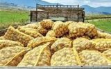 بحران تنگه هرمز سیب زمینی را در اروپا ۷۰۰ درصد گران تر کرد بحران تنگه هرمز سیب زمینی را در اروپا ۷۰۰ درصد گران تر کرد