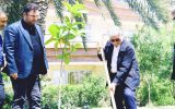 گامِ پتروشیمی بوشهر در امتداد پیام سبز رهبری