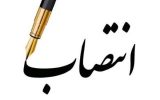 انتصاب سرپرست معاونت حمل و نقل و ترافیک استانداری بوشهر